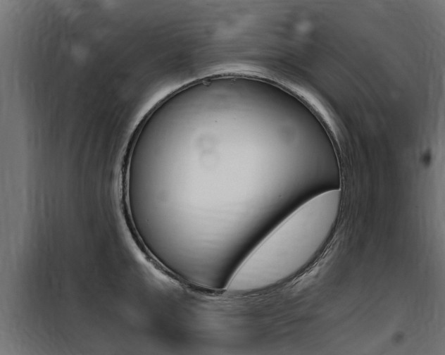 X0000100760999200806190905