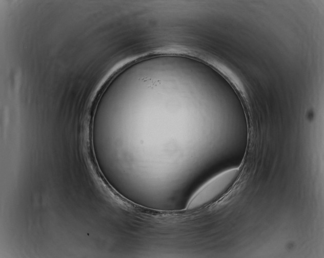 X0000100761000200806190905