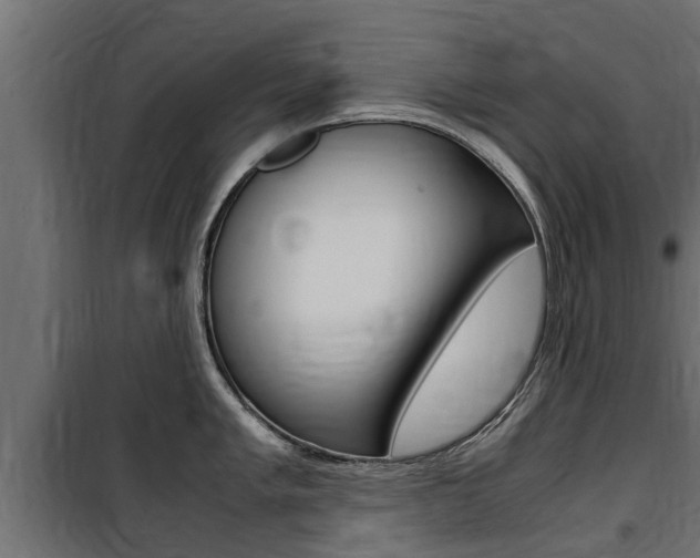 X0000100761005200806190905