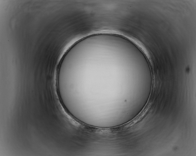 X0000100761006200806190905