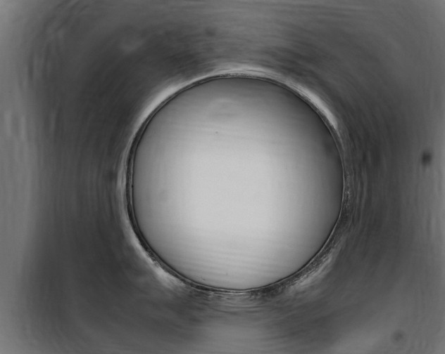 X0000100761007200806190905