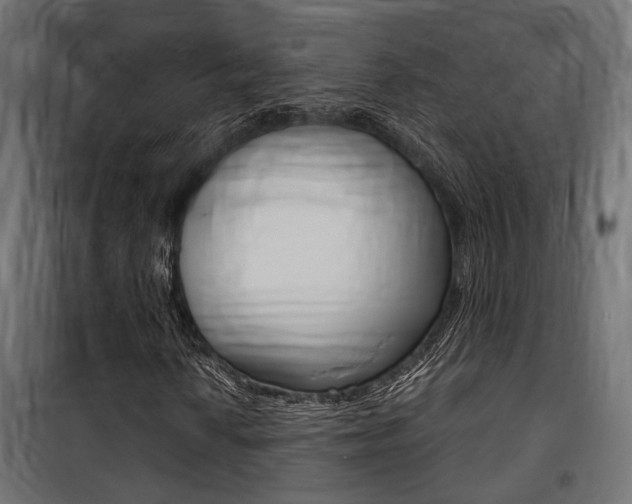 X0000100761010200806190904