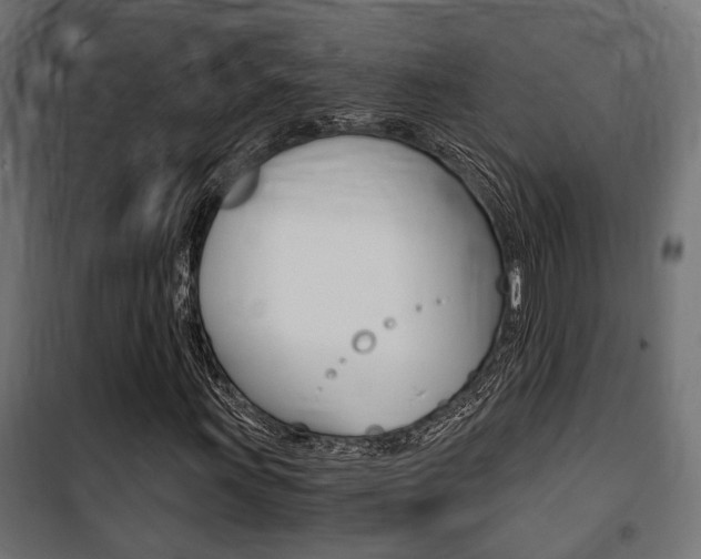 X0000100761011200806190904