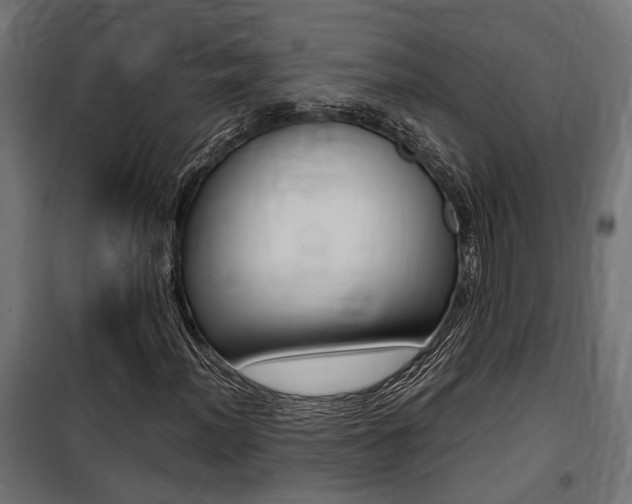 X0000100761012200806190904