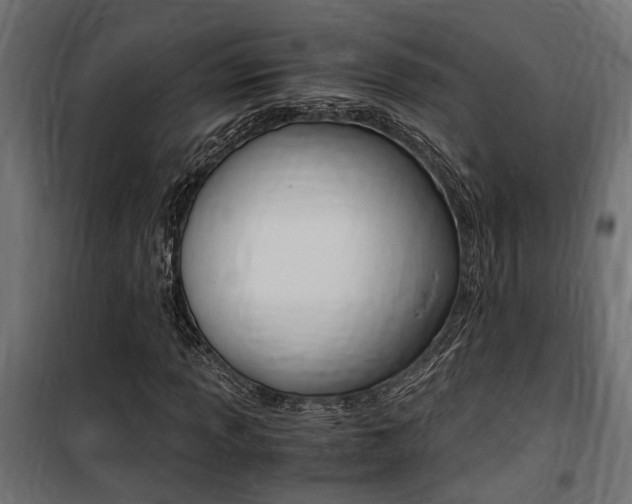 X0000100761013200806190904