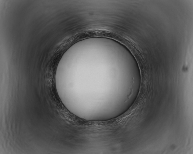 X0000100761014200806190904