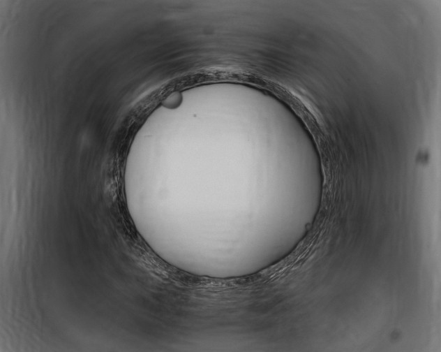 X0000100761015200806190904