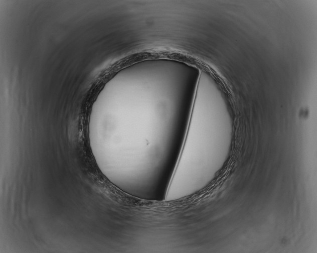 X0000100761016200806190904