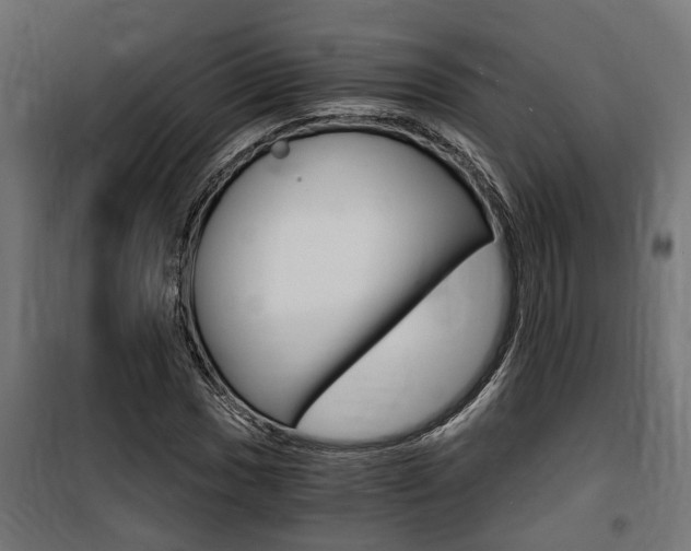 X0000100761017200806190904