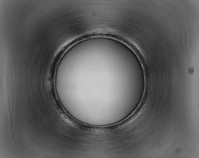 X0000100761018200806190904