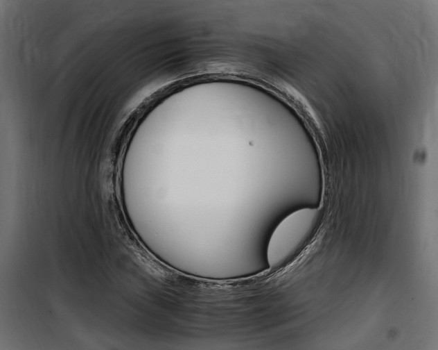 X0000100761019200806190904