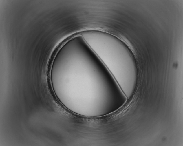 X0000100761020200806190904