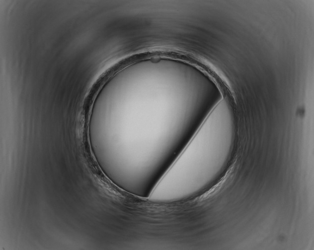 X0000100761021200806190904