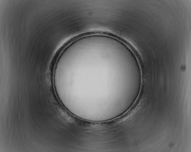 X0000100761022200806190904