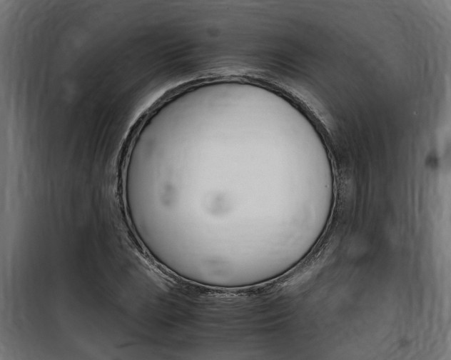 X0000100761023200806190904