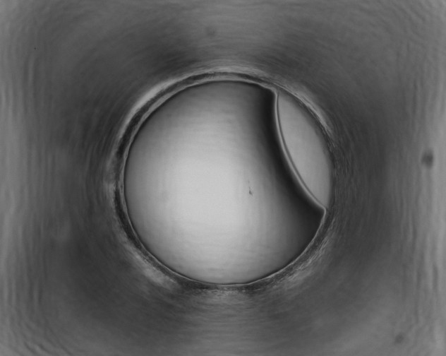 X0000100761024200806190904