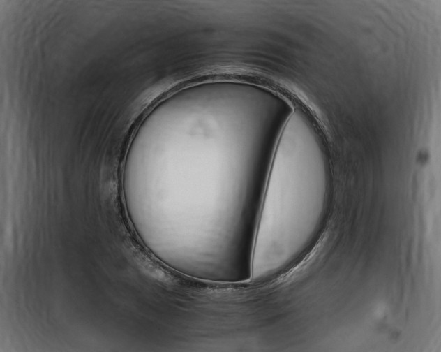 X0000100761025200806190904