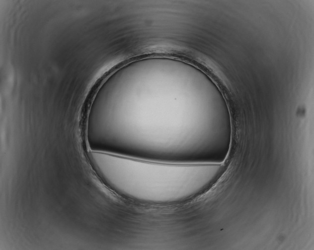 X0000100761026200806190904