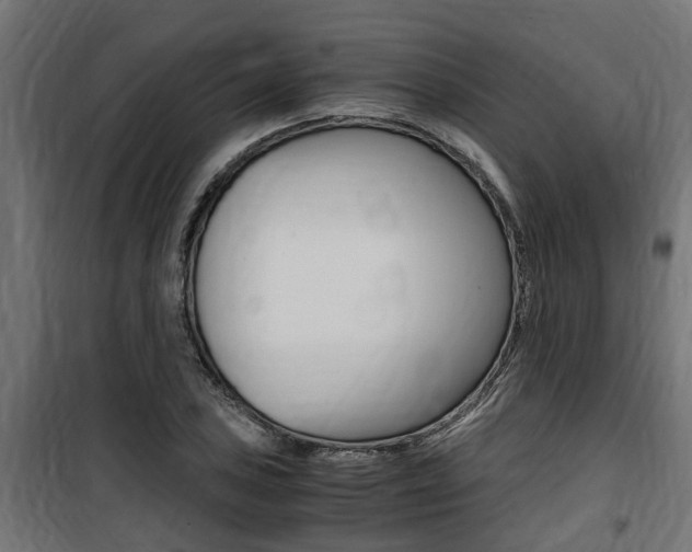 X0000100761027200806190904