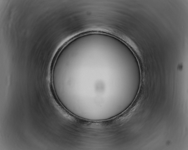 X0000100761028200806190904