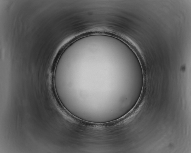 X0000100761029200806190904