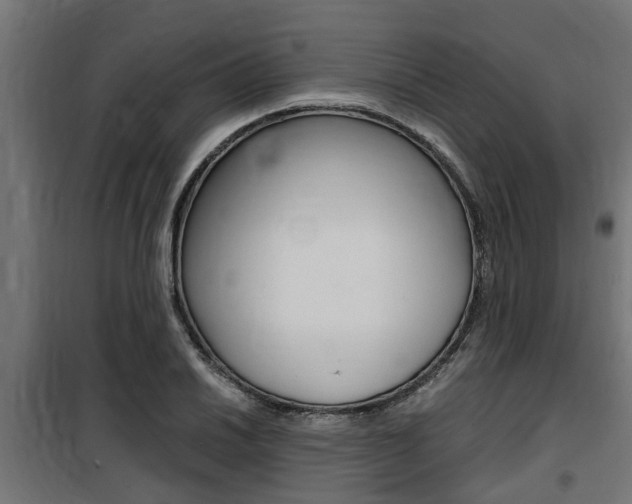 X0000100761030200806190904