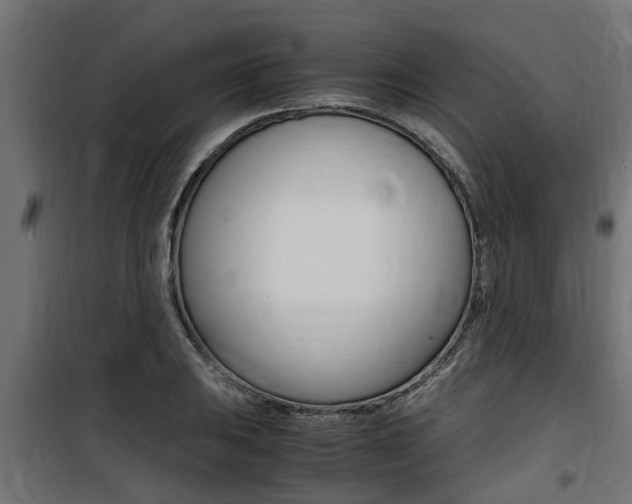 X0000100761031200806190904