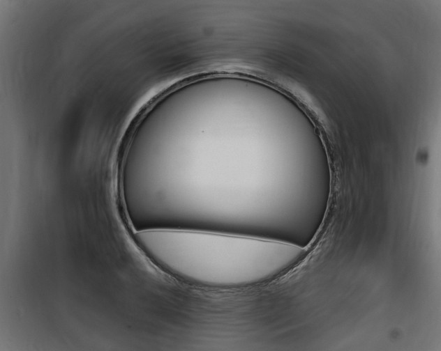 X0000100761032200806190904