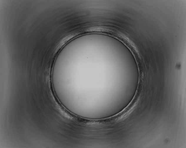 X0000100761033200806190904