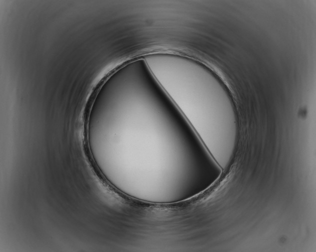 X0000100761034200806190904