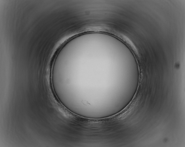 X0000100761035200806190904