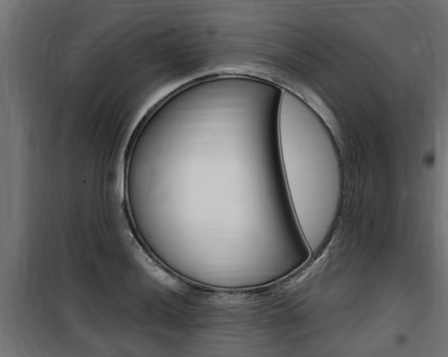 X0000100761036200806190904