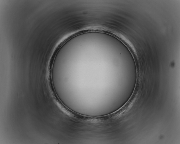 X0000100761037200806190904