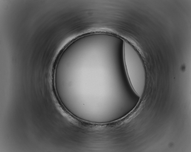 X0000100761038200806190904