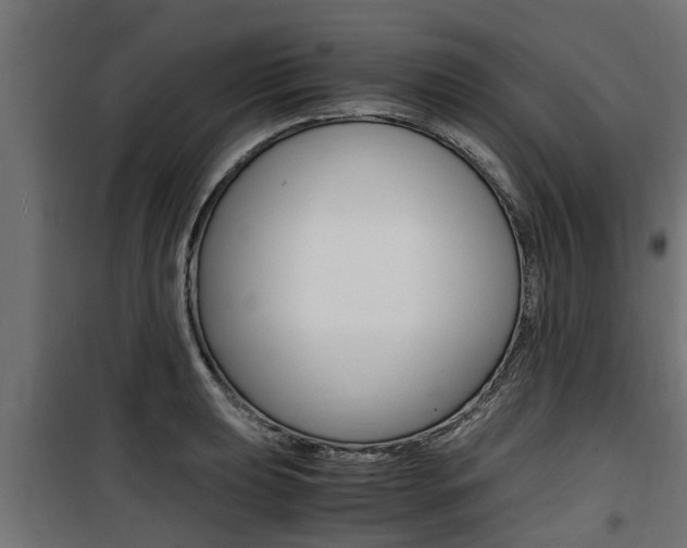 X0000100761039200806190904