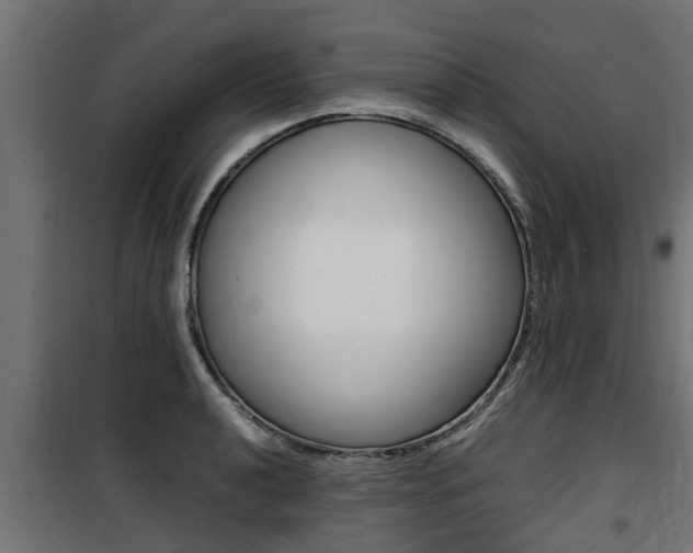 X0000100761040200806190904