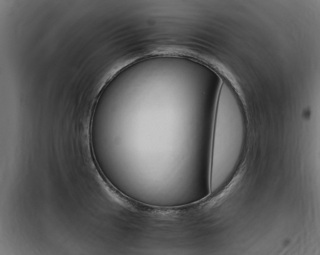 X0000100761041200806190904