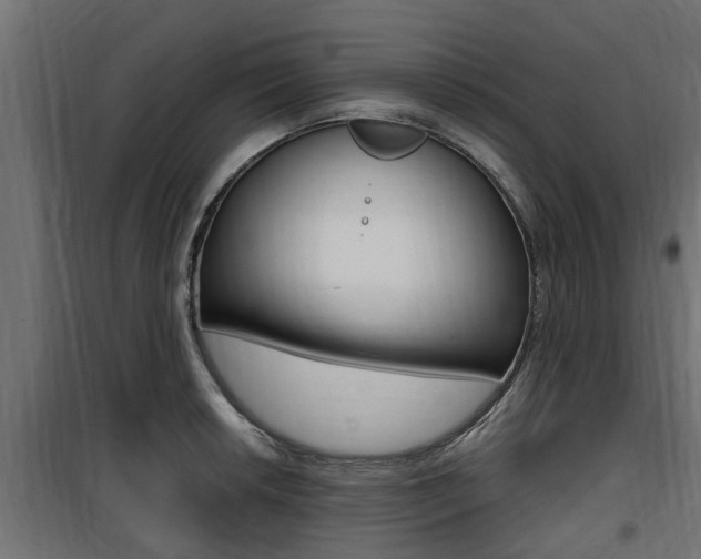 X0000100761042200806190904