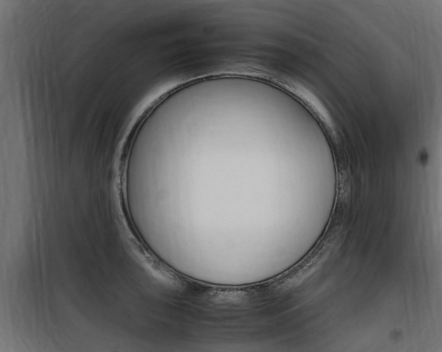 X0000100761043200806190904