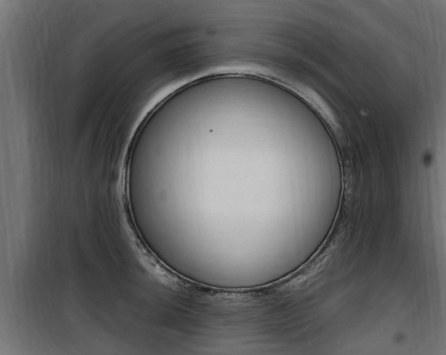 X0000100761044200806190904