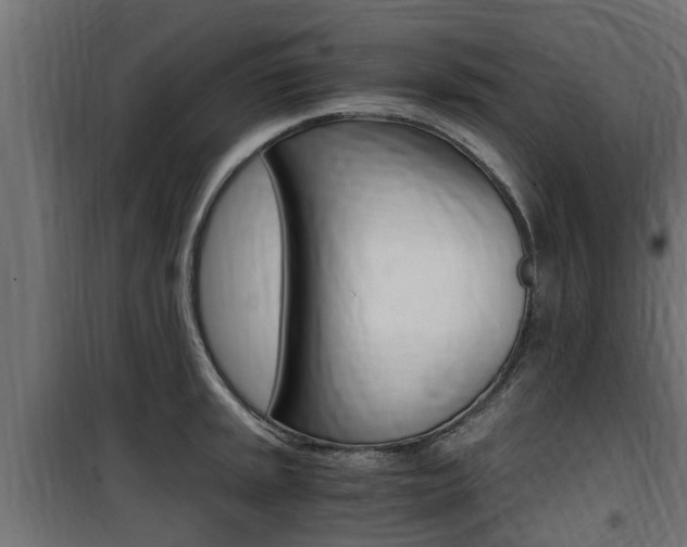 X0000100761045200806190905