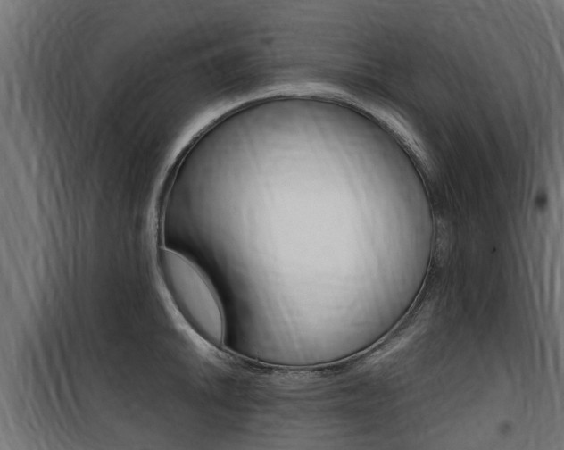 X0000100761046200806190905