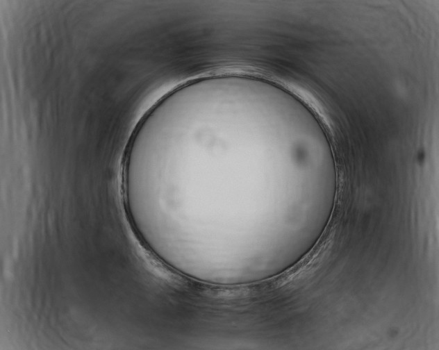 X0000100761047200806190905