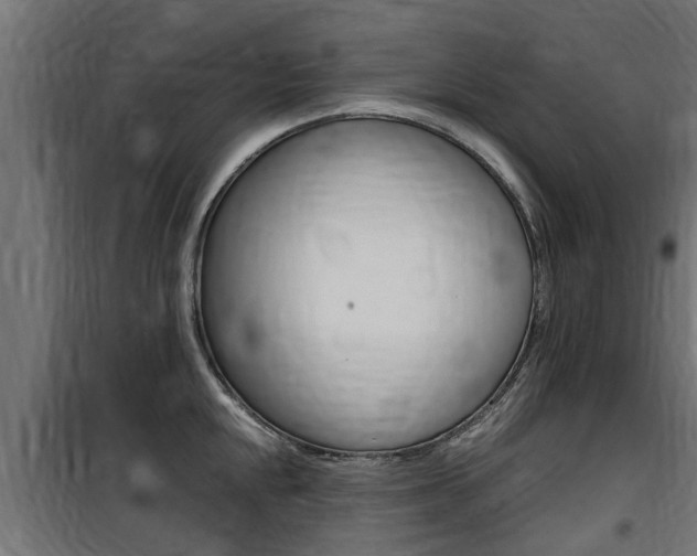 X0000100761048200806190905