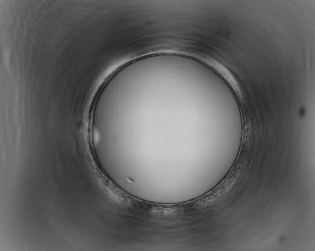 X0000100761051200806190905