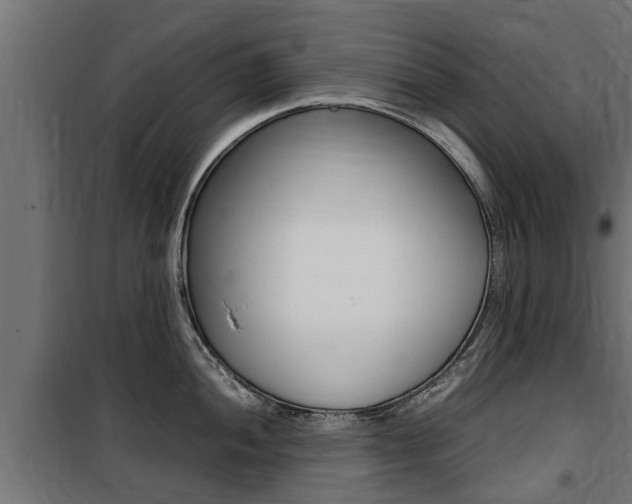 X0000100761052200806190905