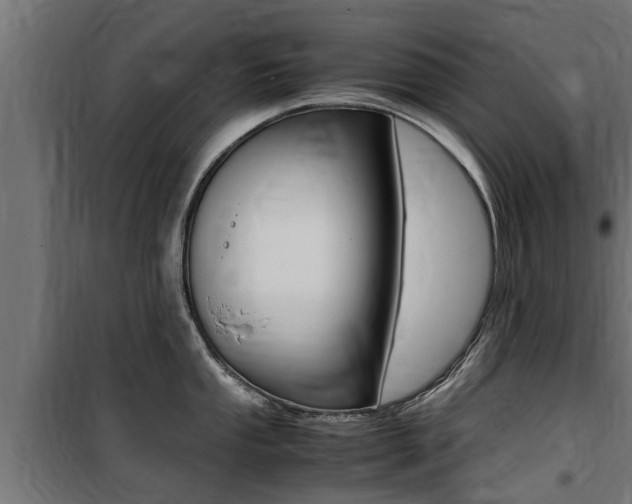 X0000100761053200806190905