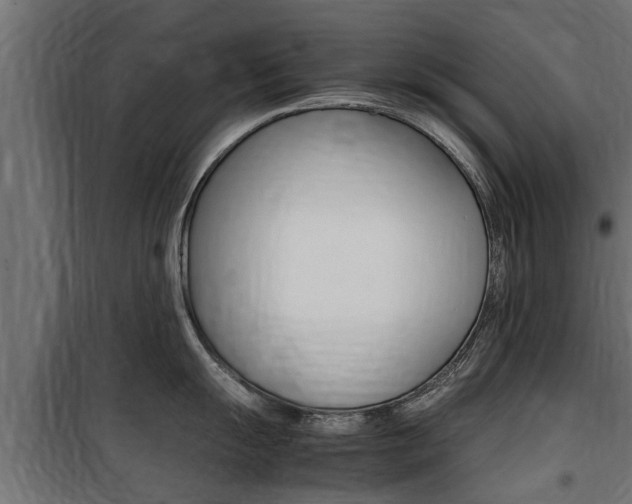 X0000100761055200806190905