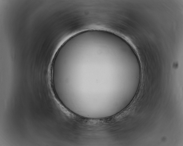 X0000100761056200806190905