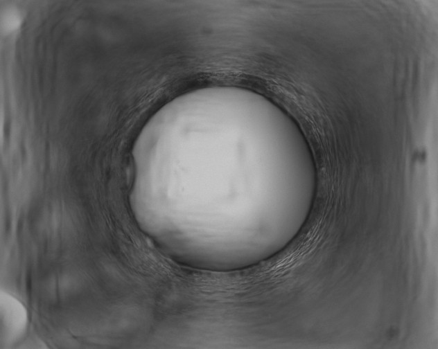 X0000100761057200806190904